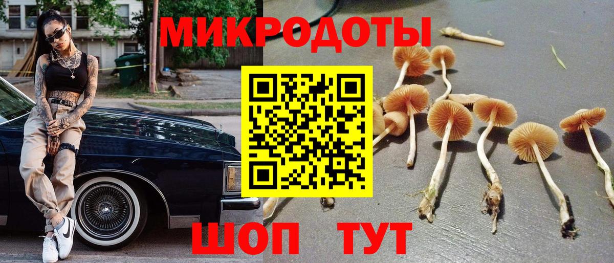 Галлюциногенные грибы Cubensis Усть-Джегута