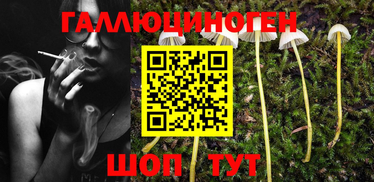 Псилоцибиновые грибы Cubensis  Вход с VPN  наркотики  Усть-Джегута 